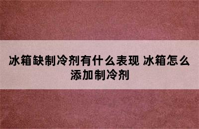 冰箱缺制冷剂有什么表现 冰箱怎么添加制冷剂